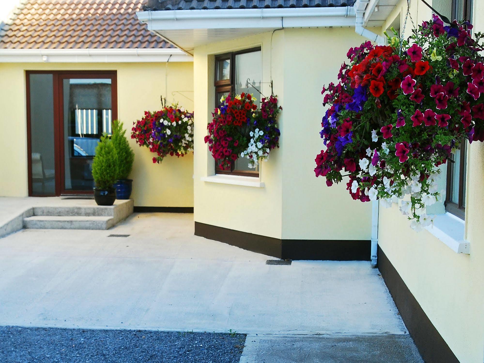 Hillview Self Catering Leilighet Lusk Eksteriør bilde
